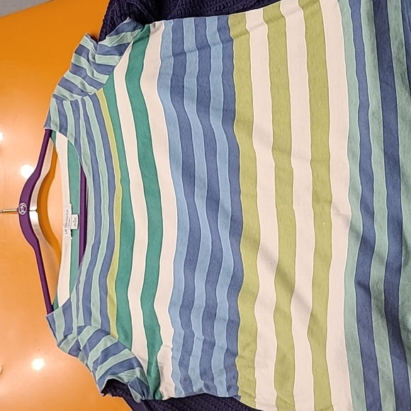 Liz Claiborne Woman sweater & shirt set - Picture 5 of 7